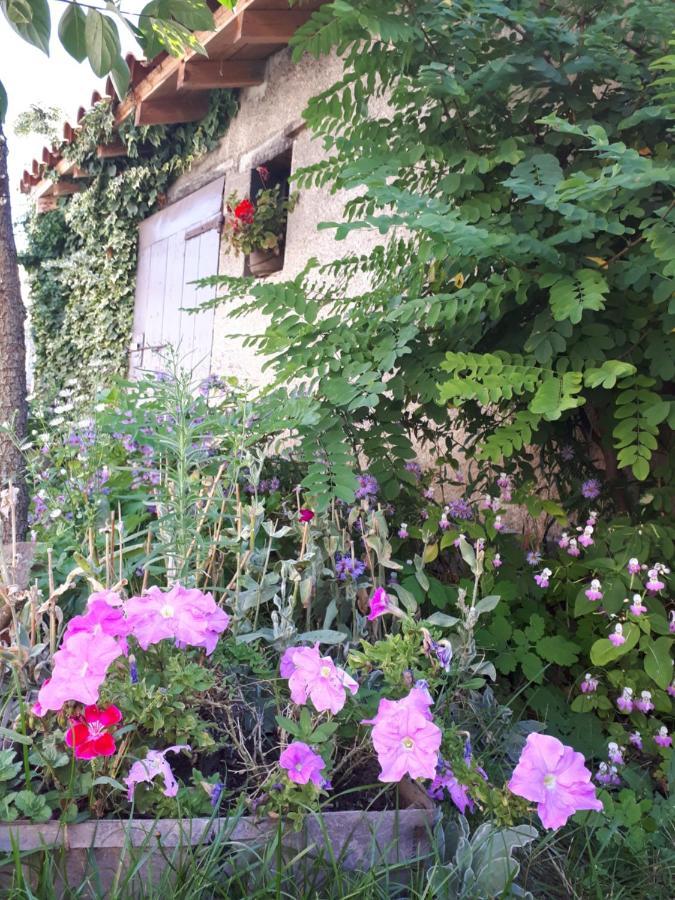 Bed and Breakfast L'Orme-Vial Saint-Galmier Exterior foto