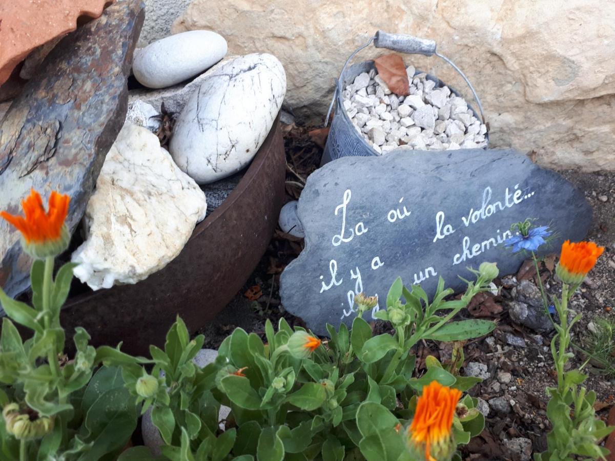 Bed and Breakfast L'Orme-Vial Saint-Galmier Exterior foto